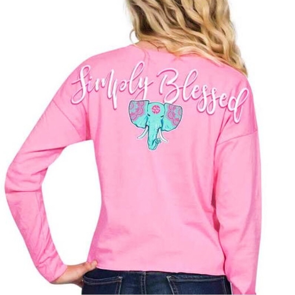 🌸cropped silmply blessed tee🌸